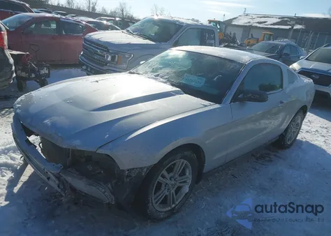 2010 Ford Mustang V6/V6 Premium z USA, uszkodzony, nr VIN 1ZVBP8AN1A5131341